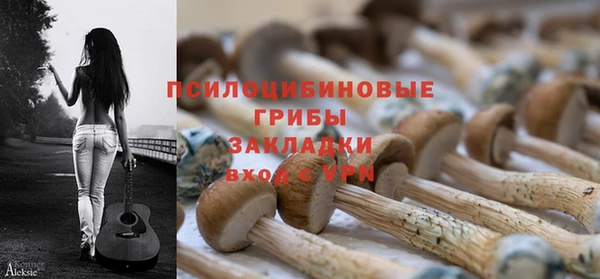 ECSTASY Зеленодольск